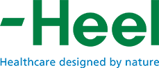 logo-heel